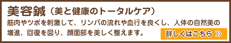 （京都市）みやはた鍼灸整骨院の美容鍼は、美と健康のトータルケア「人体の自然美は健康を基礎として成立する」というコンセプト。リンパの流れや血行を良くし、自然美の増進、顔面部を美しく整えます。JR京都線（西大路駅前）接骨院　