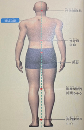 理想的な姿勢_後ろから見た場合(引用元:姿勢の教科書/著者:竹井 仁/出版:ナツメ社)