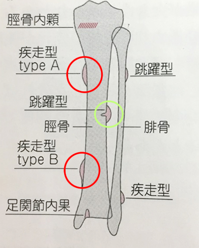 陸上スポーツ障害 公式 みやはた鍼灸整骨院 京都市 開院年の実績 陸上スポーツ障害 公式 みやはた鍼灸整骨院 京都市 開院年の実績